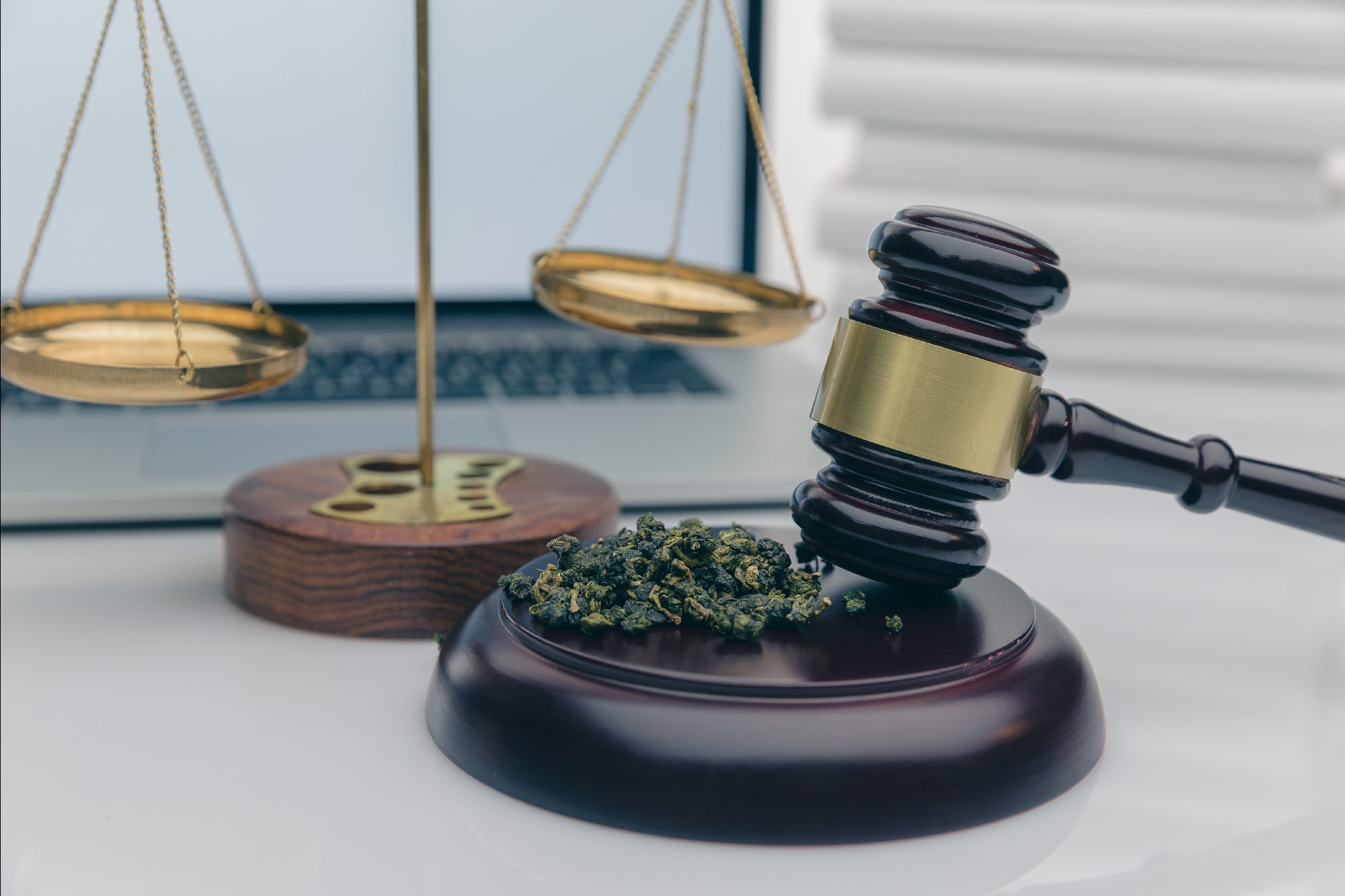 Cannabis Legalization and Cyber Security