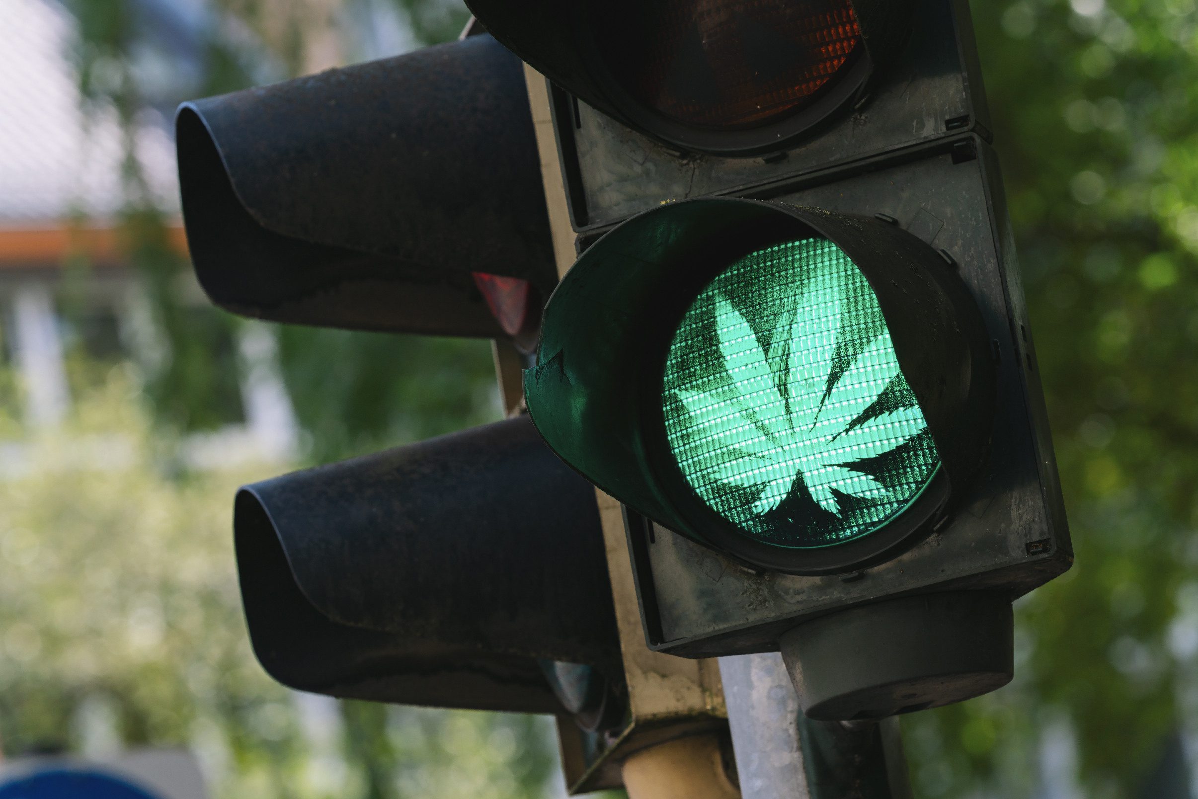Cannabis Transportation Security