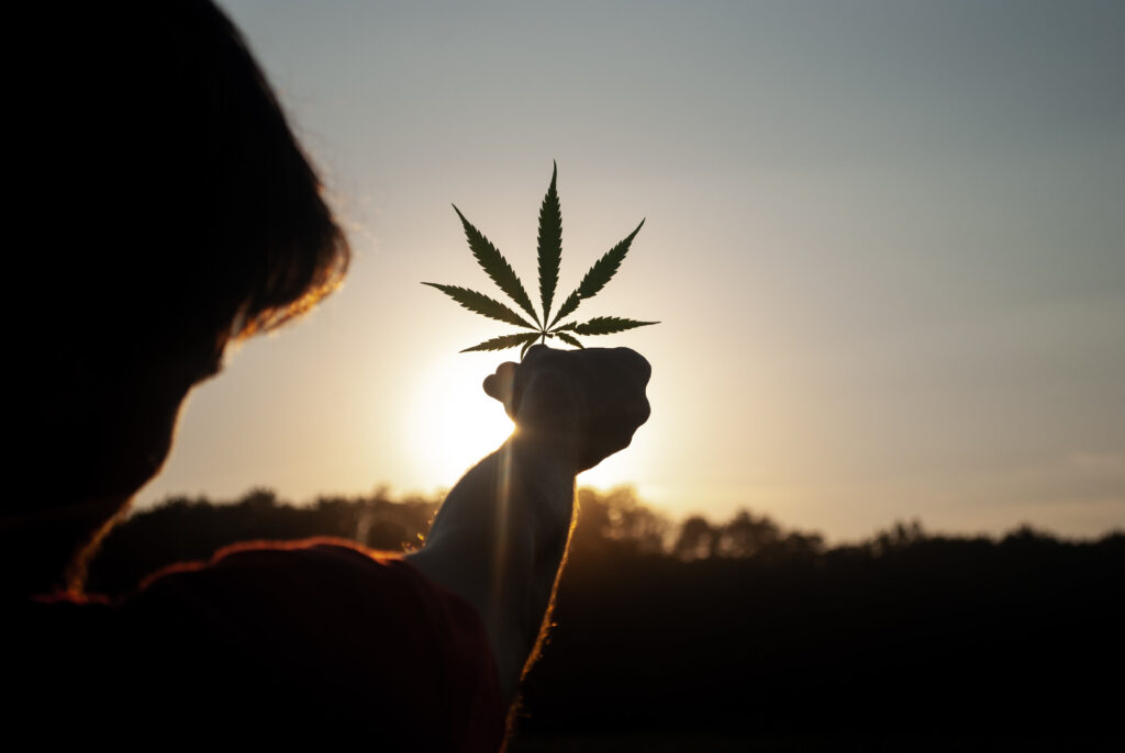 Ohio Cannabis Proposals